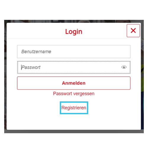 Netzportal Screenshot Registrierungsprozess
