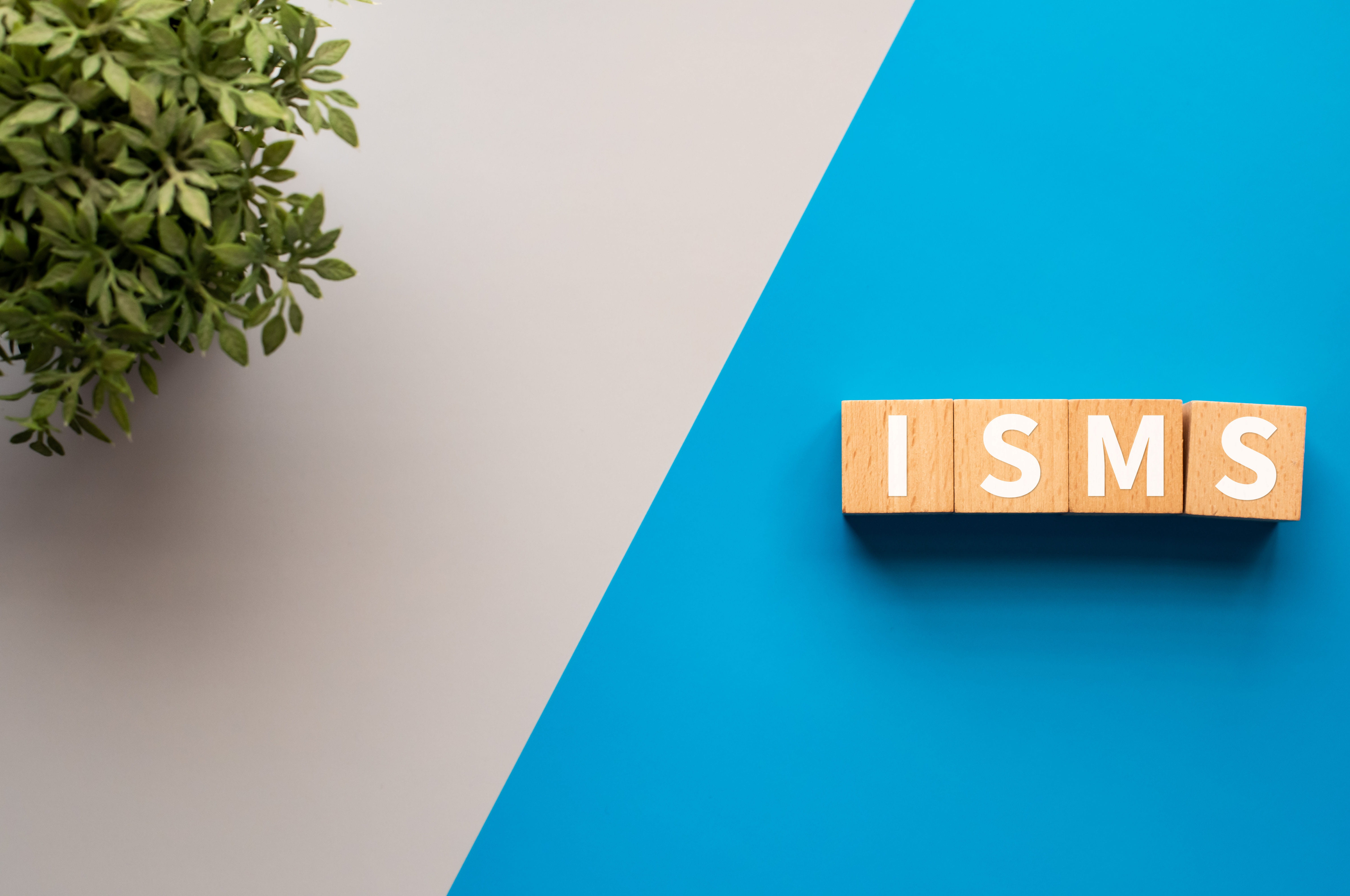 ISMS auf Holzwürfeln geschrieben vor einem grauen und blauen Hintergrund, grüne Pflanze in der linken oberen Ecke
