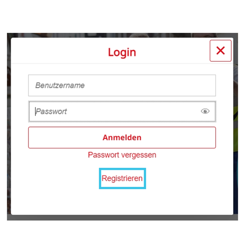Blau-umrandetes Registrieren-Feld fürs Netzportal während des Registrierungsprozesses