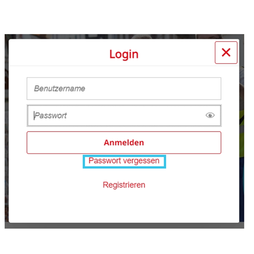 Netzportal Passwort vergessen