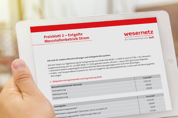 Auf einem weißen Tablett wird das Preisblatt 2 für Entgelte des Messstellenbetrieb Strom angezeigt
