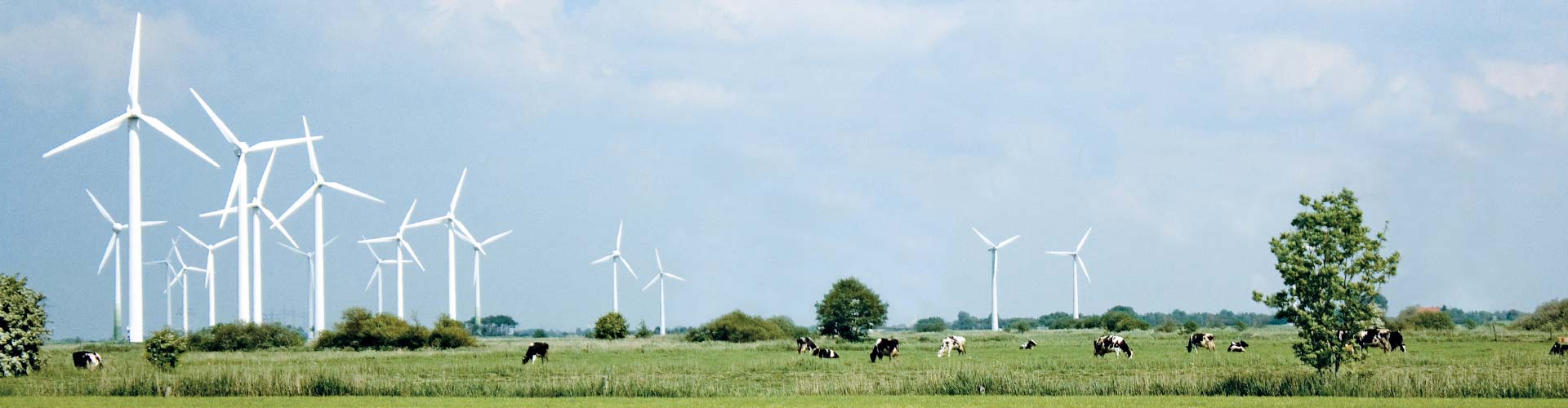 Eine Wiese mit mehreren Windanlagen