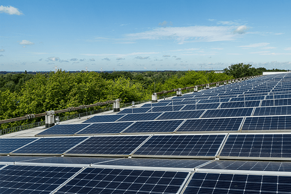 Eine PV-Anlage auf einem großen Dach mit grünen Bäumkronen im Hintergrund