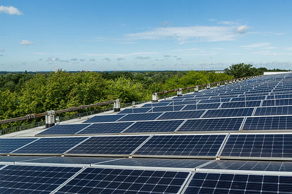 Eine große PV-Anlage auf einem Dach, im Hintergrund sind dichte Baumkronen zu sehen