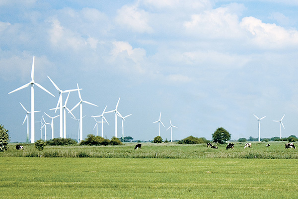 Auf einer grünen Weide stehen mehrere Windräder