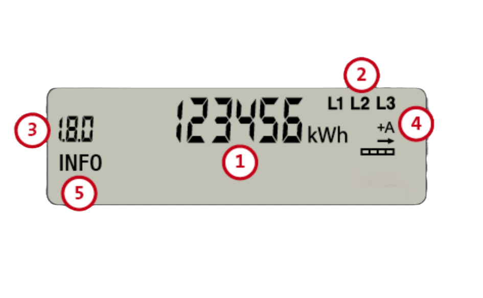 Holley DTZ Display 2